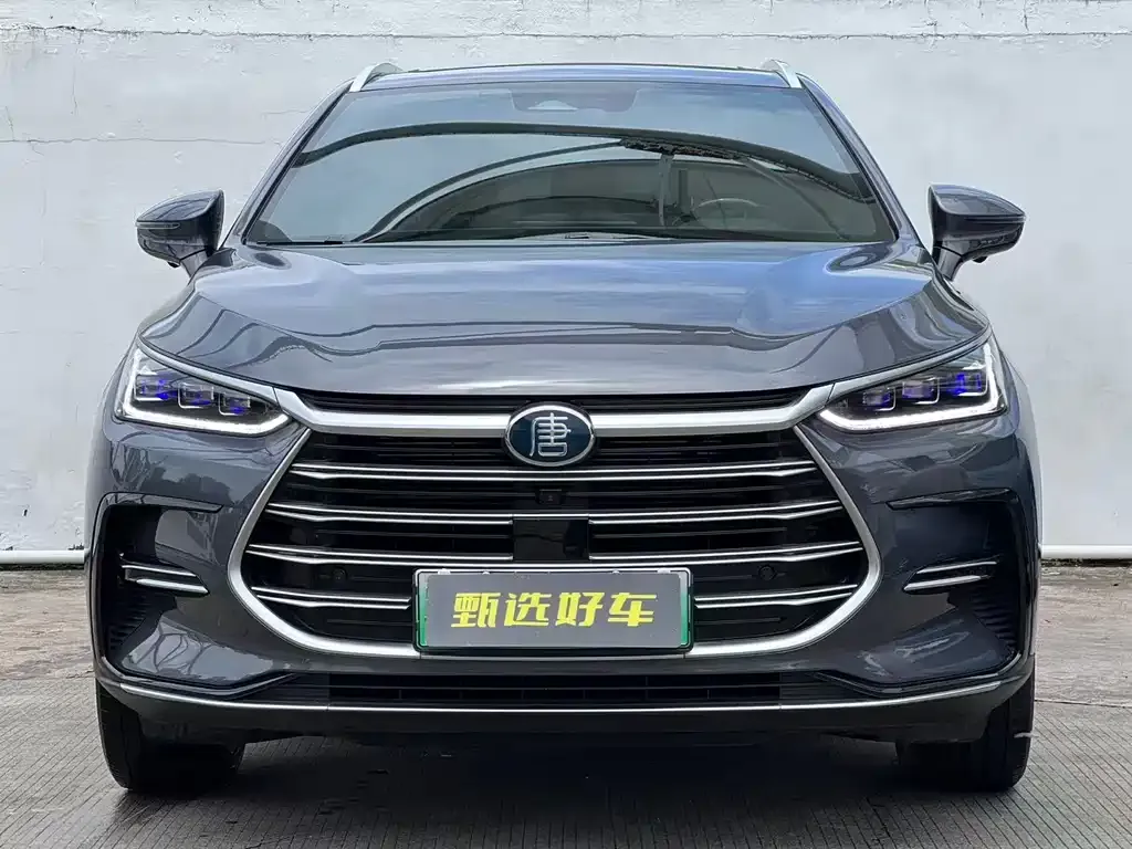 BYD Tang New Energy 2023 из CN, фото 3