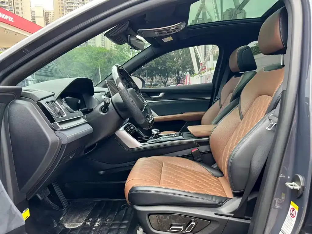 BYD Tang New Energy 2023 из CN, фото 6
