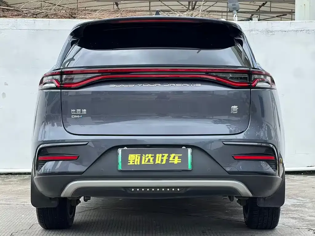 BYD Tang New Energy 2023 из CN, фото 5