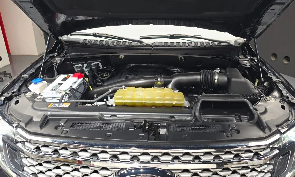 Ford Expedition 2021 из KR, фото 5
