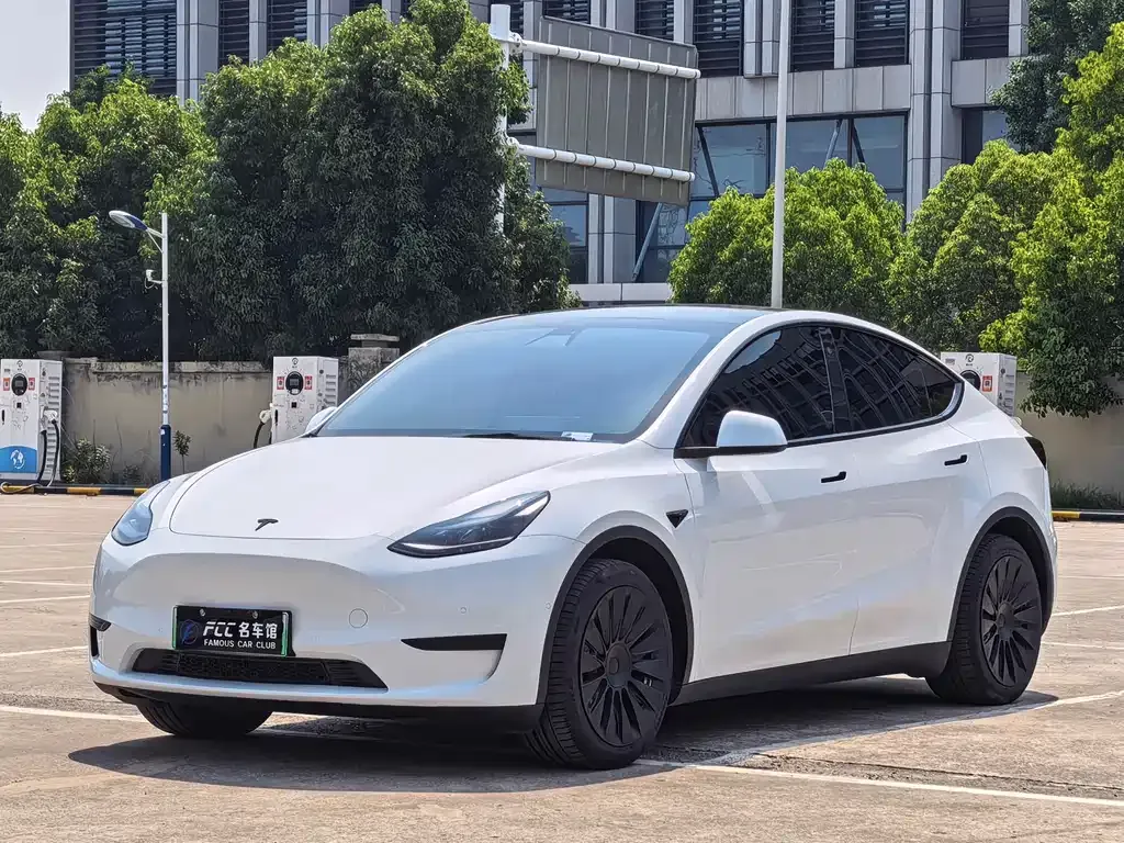 Tesla Model Y — фото 1