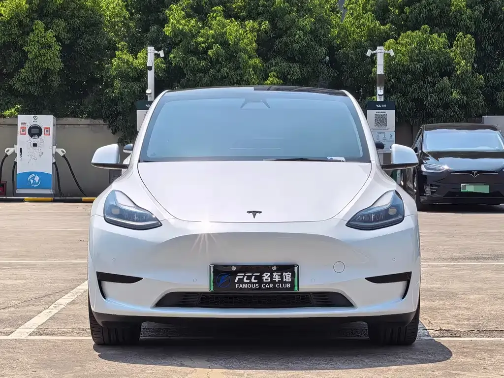 Tesla Model Y — фото 8