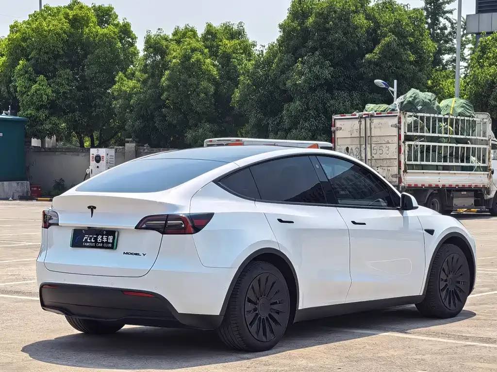 Tesla Model Y — фото 2