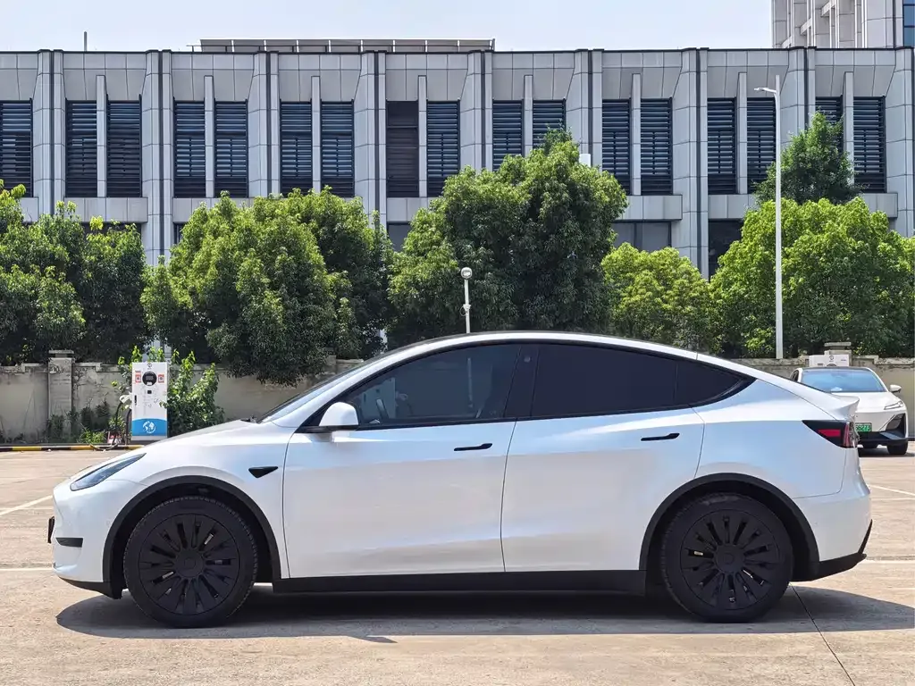 Tesla Model Y — фото 5