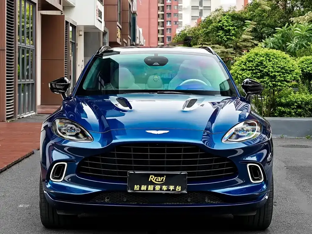 Aston Martin DBX 2021 из CN, фото 8