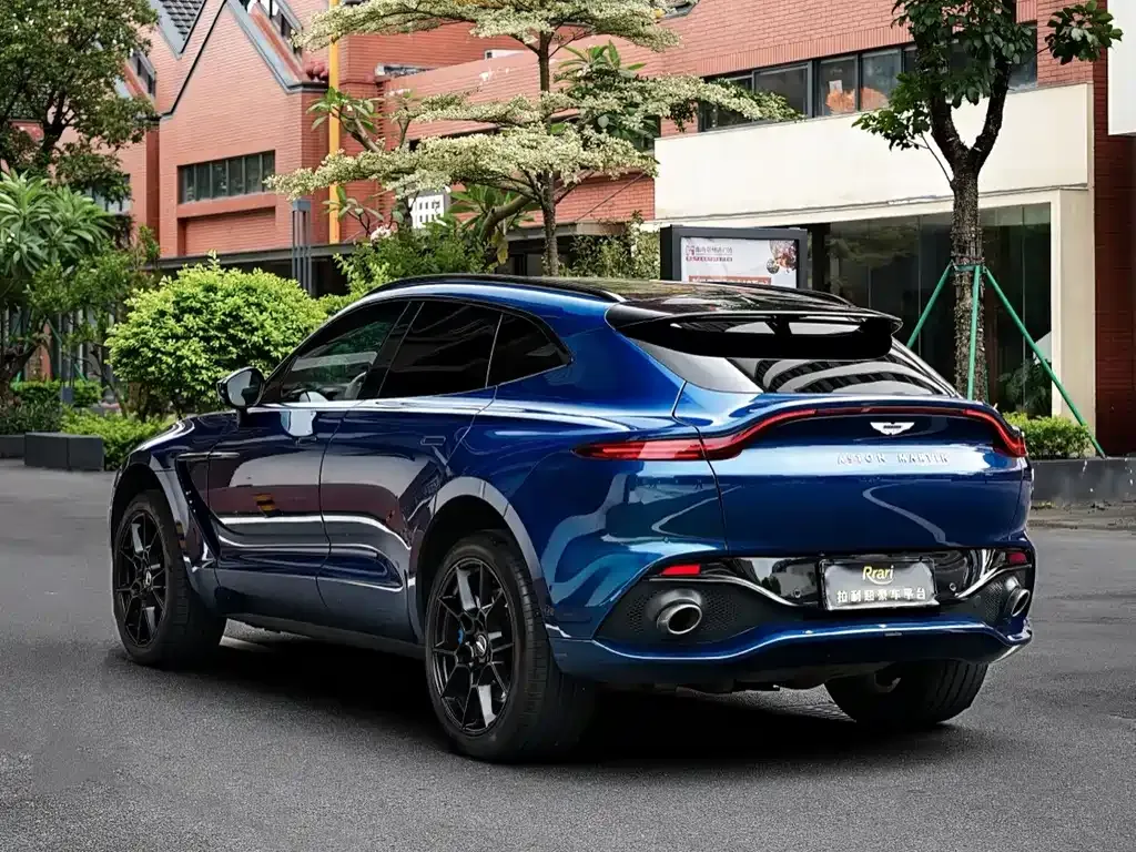 Aston Martin DBX 2021 из CN, фото 10