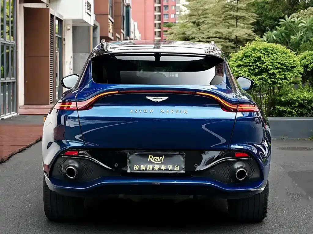 Aston Martin DBX 2021 из CN, фото 9