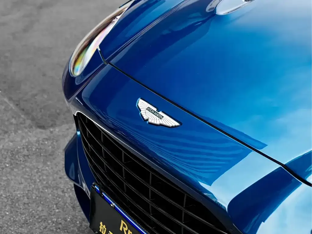 Aston Martin DBX 2021 из CN, фото 3