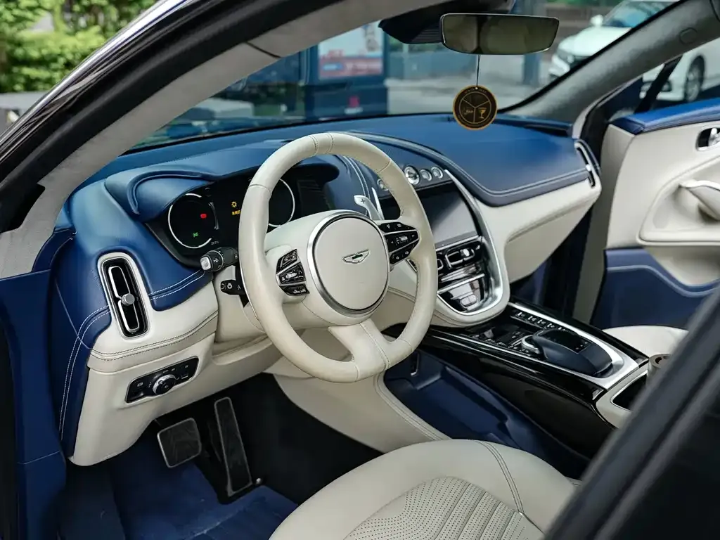 Aston Martin DBX 2021 из CN, фото 4