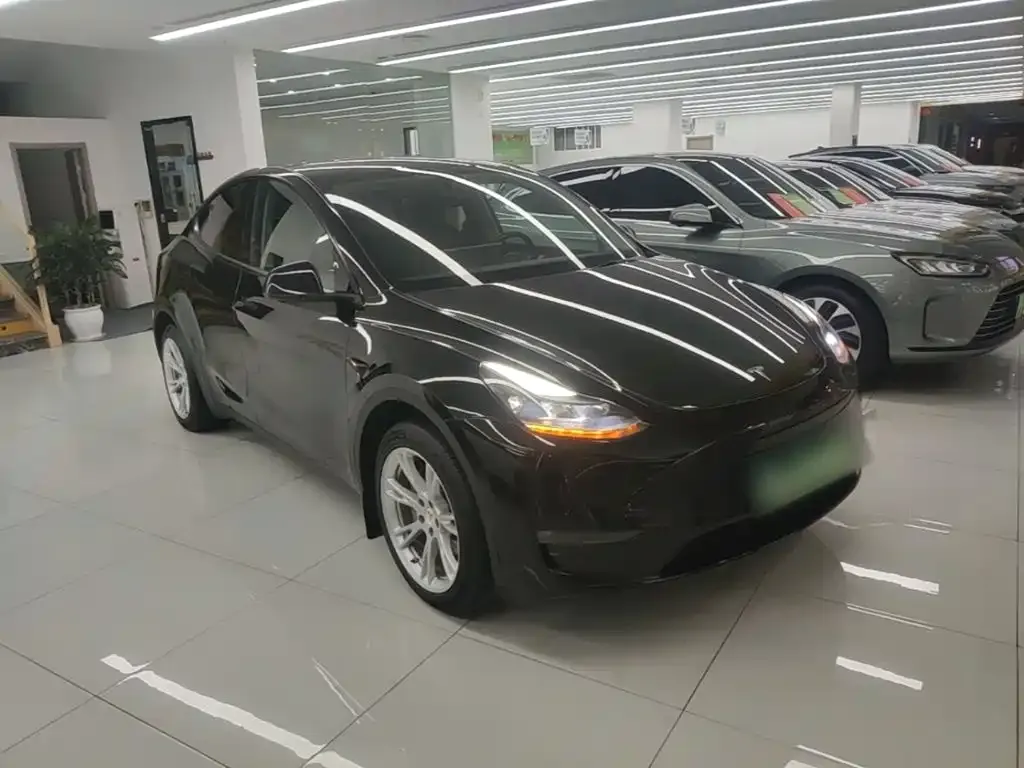 Tesla Model Y — фото 10