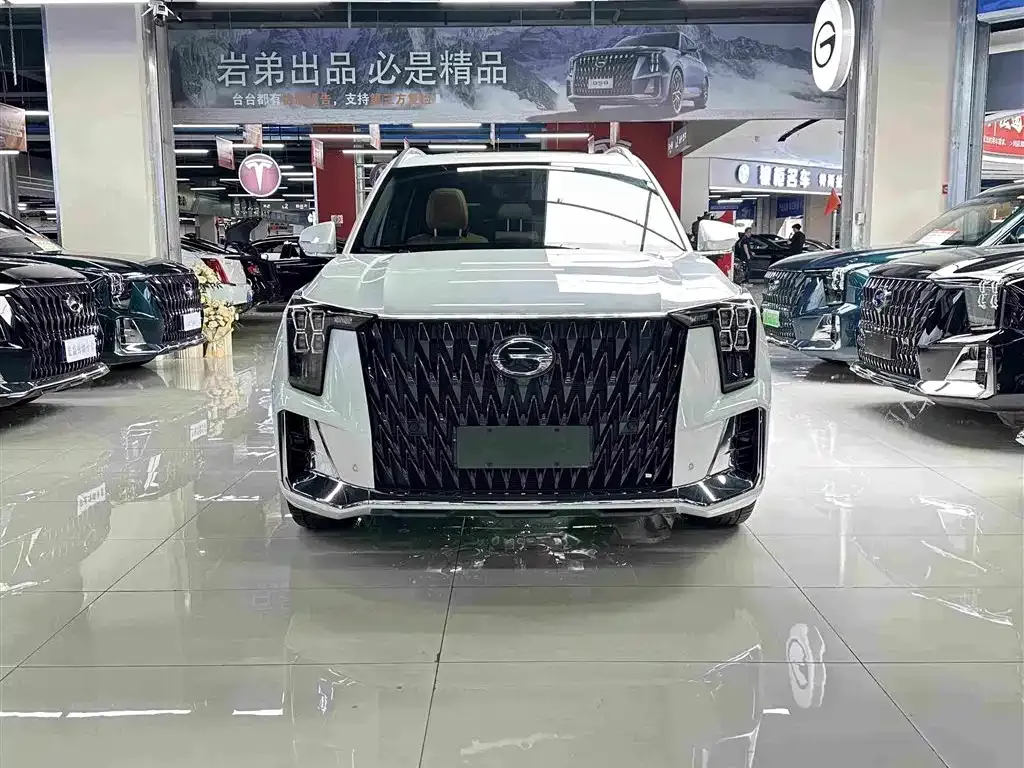 GAC Motor Trumpchi ES9 2024 из CN, фото 9