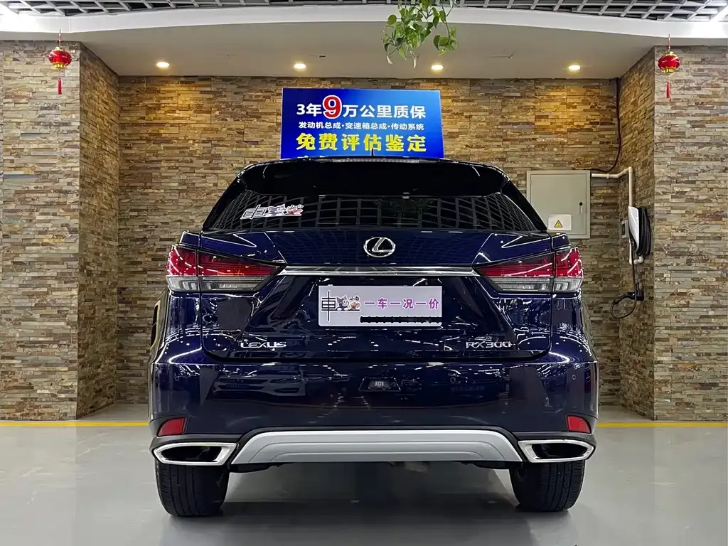Lexus RX — фото 9