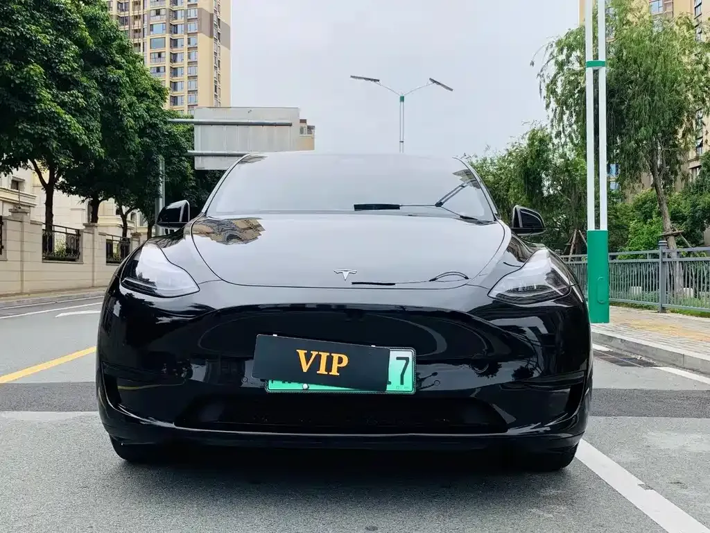 Tesla Model Y — фото 8