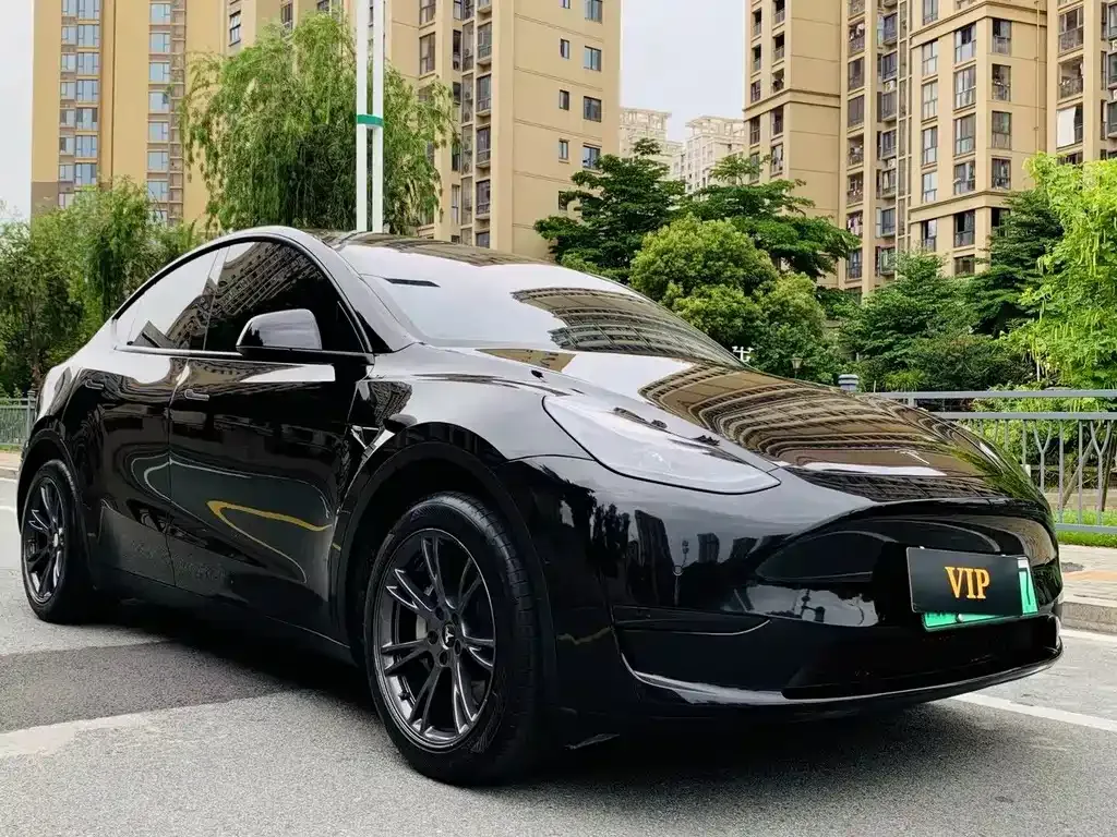 Tesla Model Y — фото 5