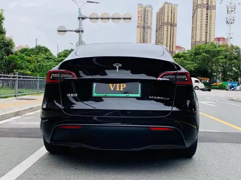 Tesla Model Y — фото 4