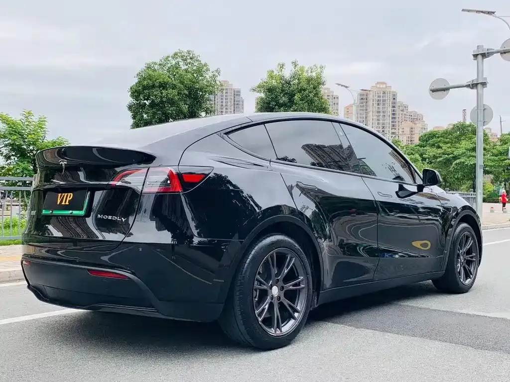 Tesla Model Y — фото 7
