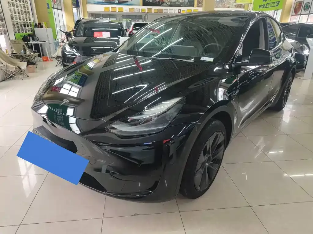 Tesla Model Y — фото 10