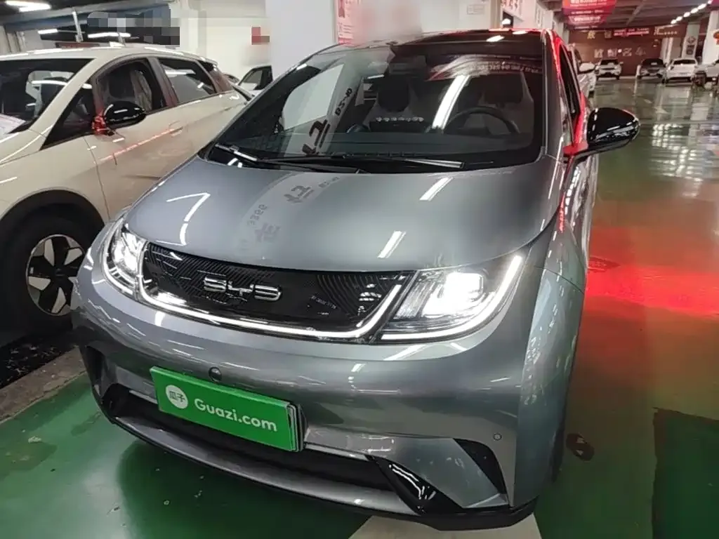BYD Dolphin
