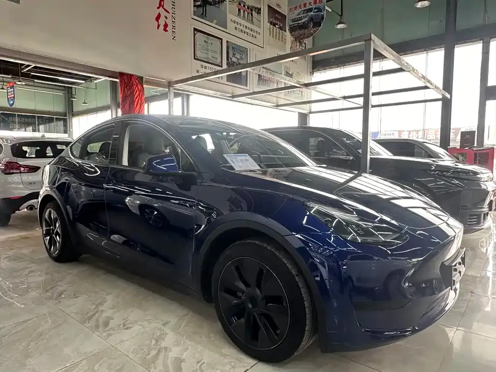 Tesla Model Y — фото 6