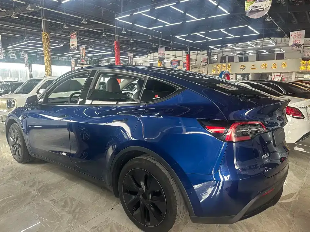 Tesla Model Y — фото 9