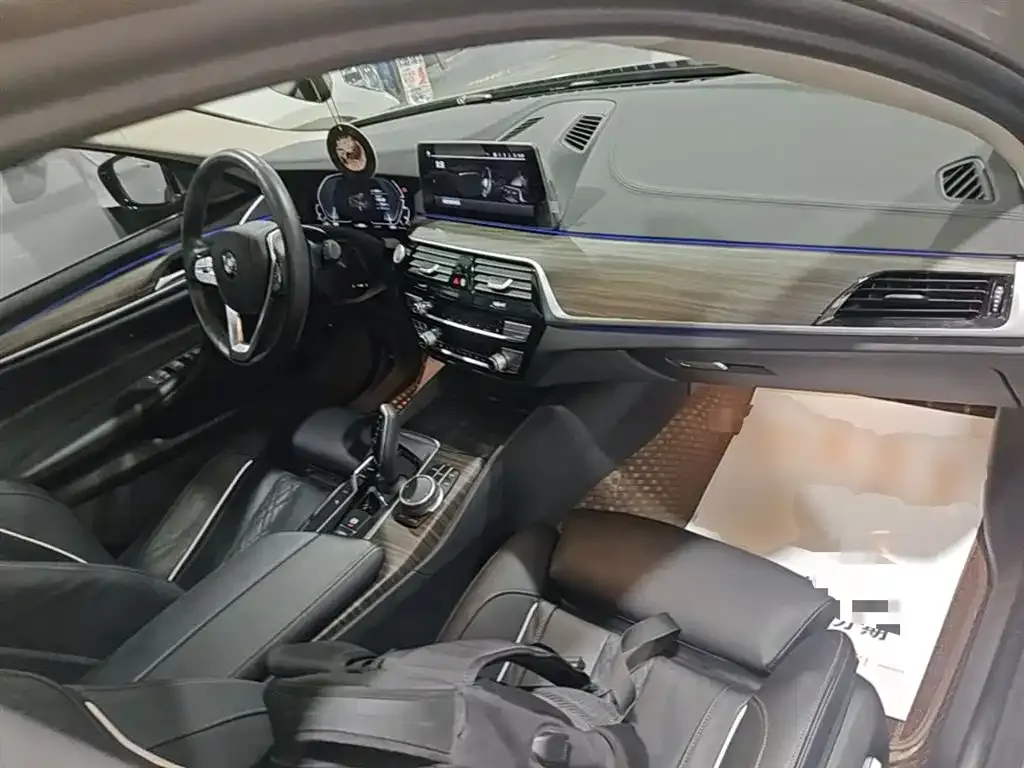 BMW 5 Series New Energy 2021 из CN, фото 10