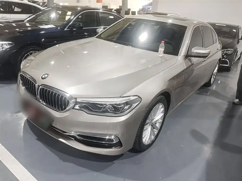 BMW 5 Series New Energy 2021 из CN, фото 9
