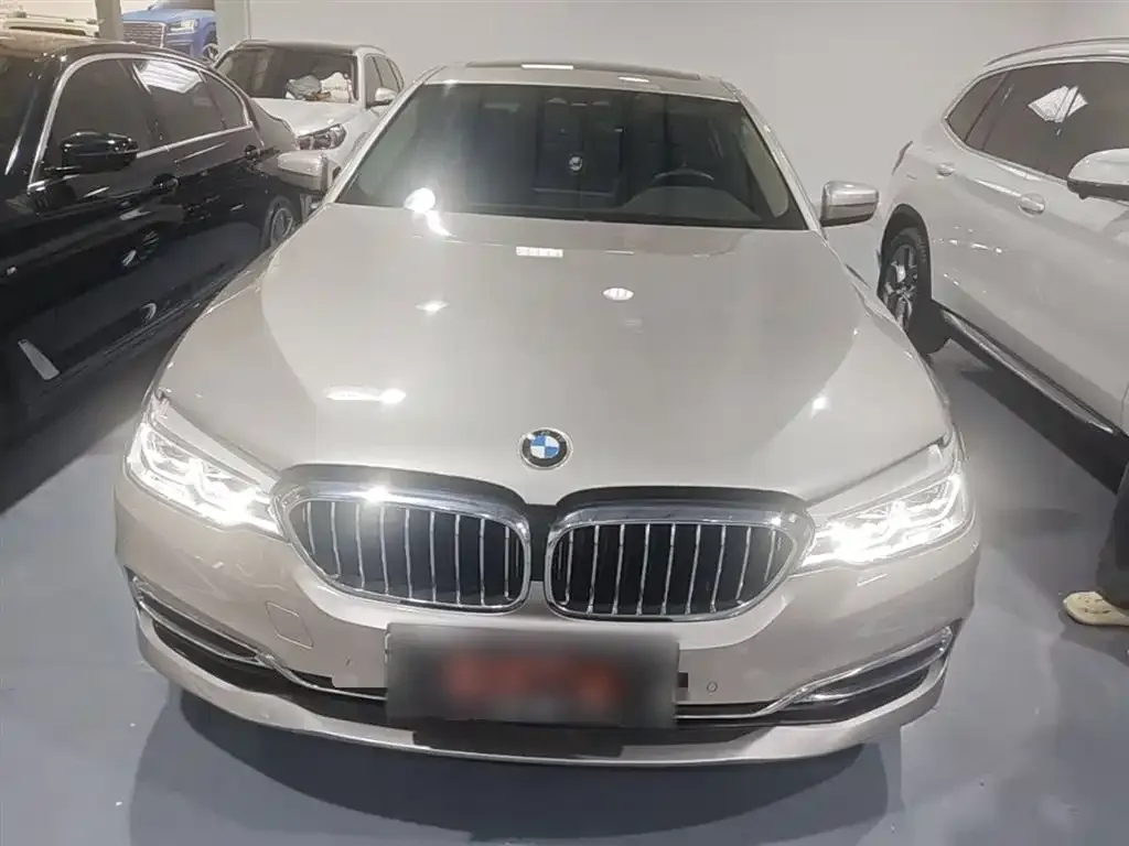 BMW 5 Series New Energy 2021 из CN, фото 3