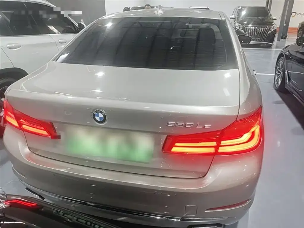 BMW 5 Series New Energy 2021 из CN, фото 5