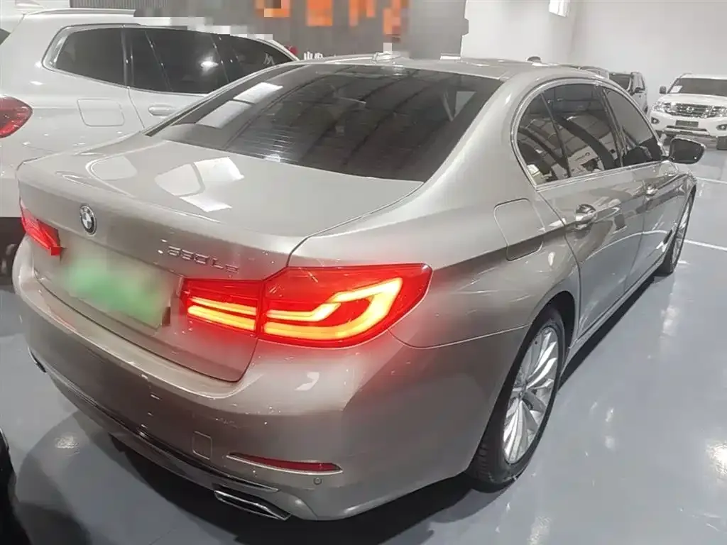 BMW 5 Series New Energy 2021 из CN, фото 7