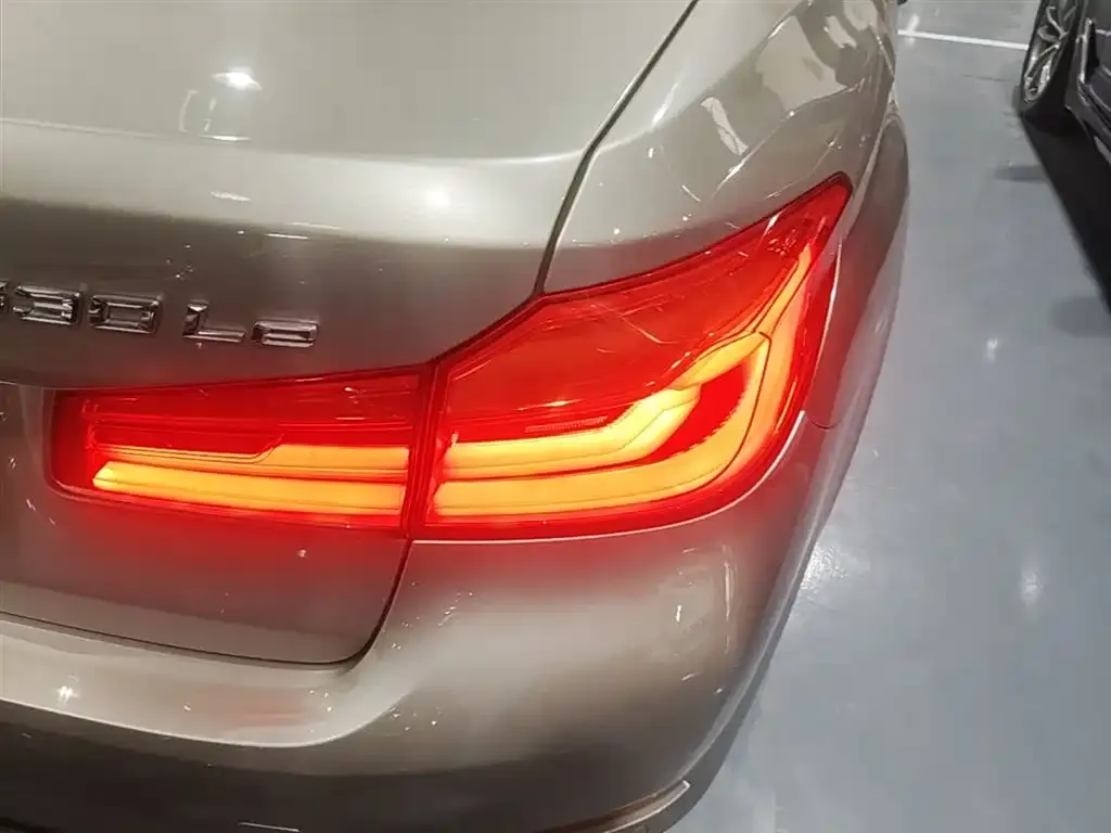 BMW 5 Series New Energy 2021 из CN, фото 6