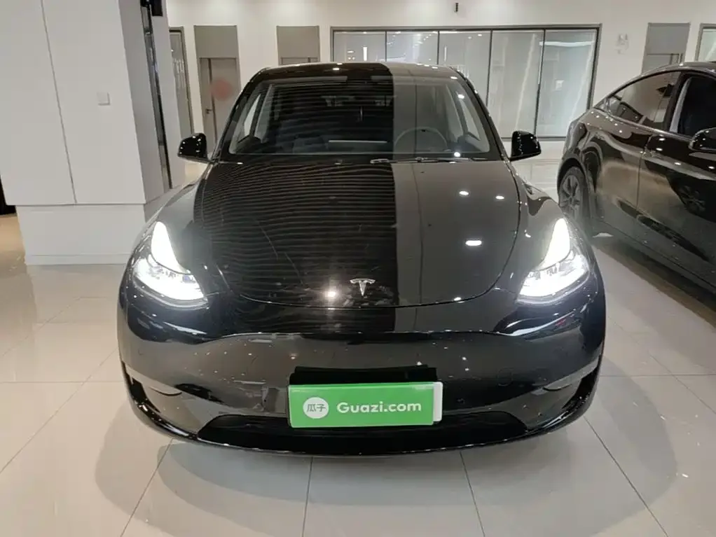 Tesla Model Y — фото 9