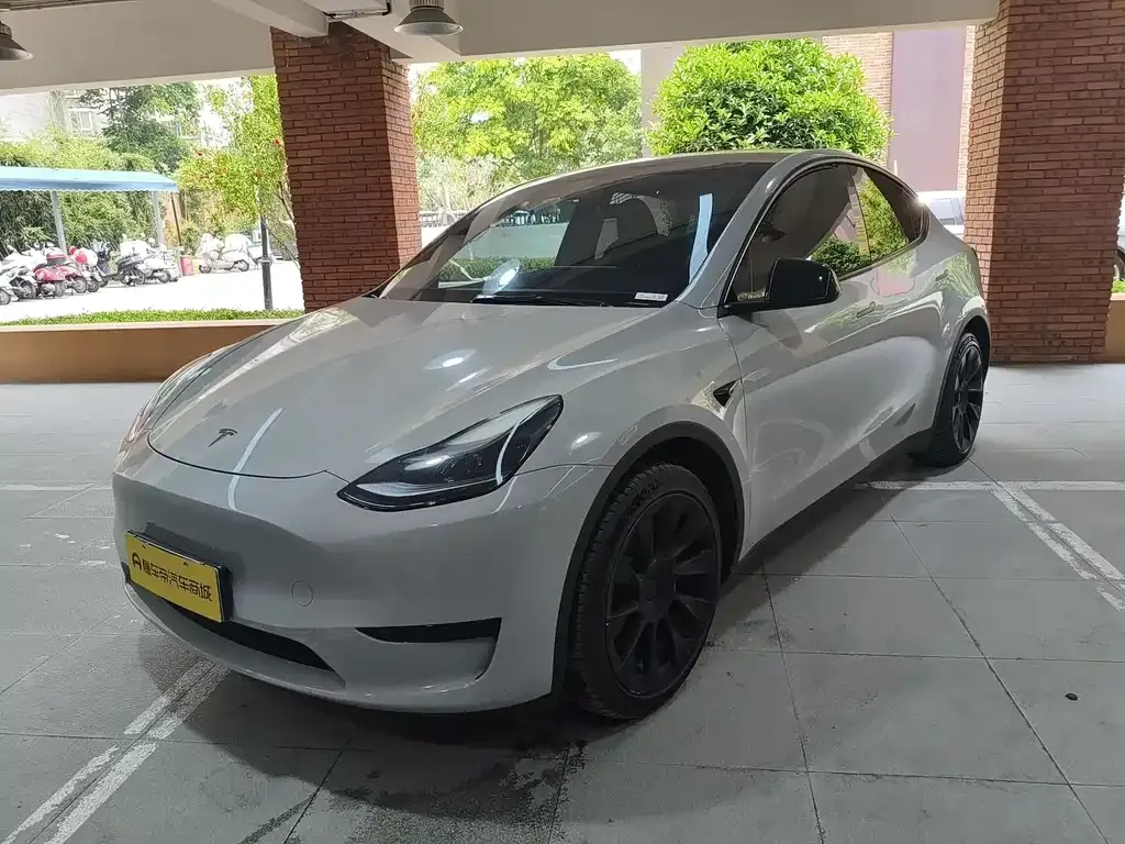 Tesla Model Y — фото 1