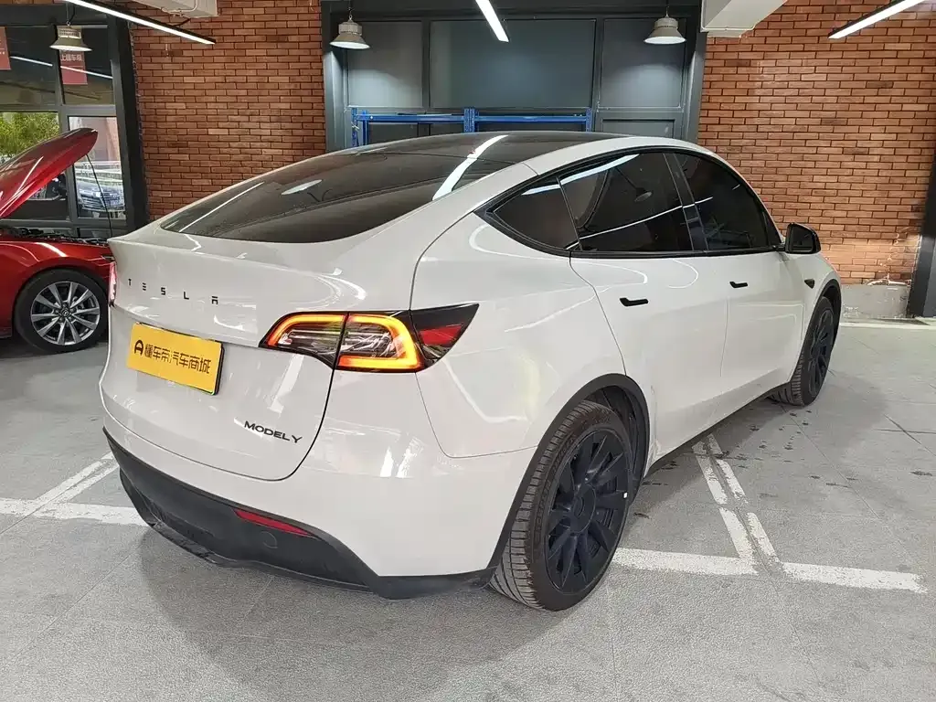 Tesla Model Y — фото 10