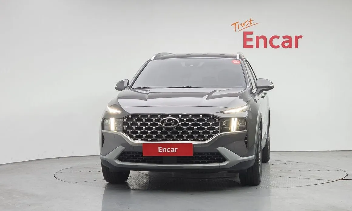 Hyundai Santafe 2022 из KR, фото 8