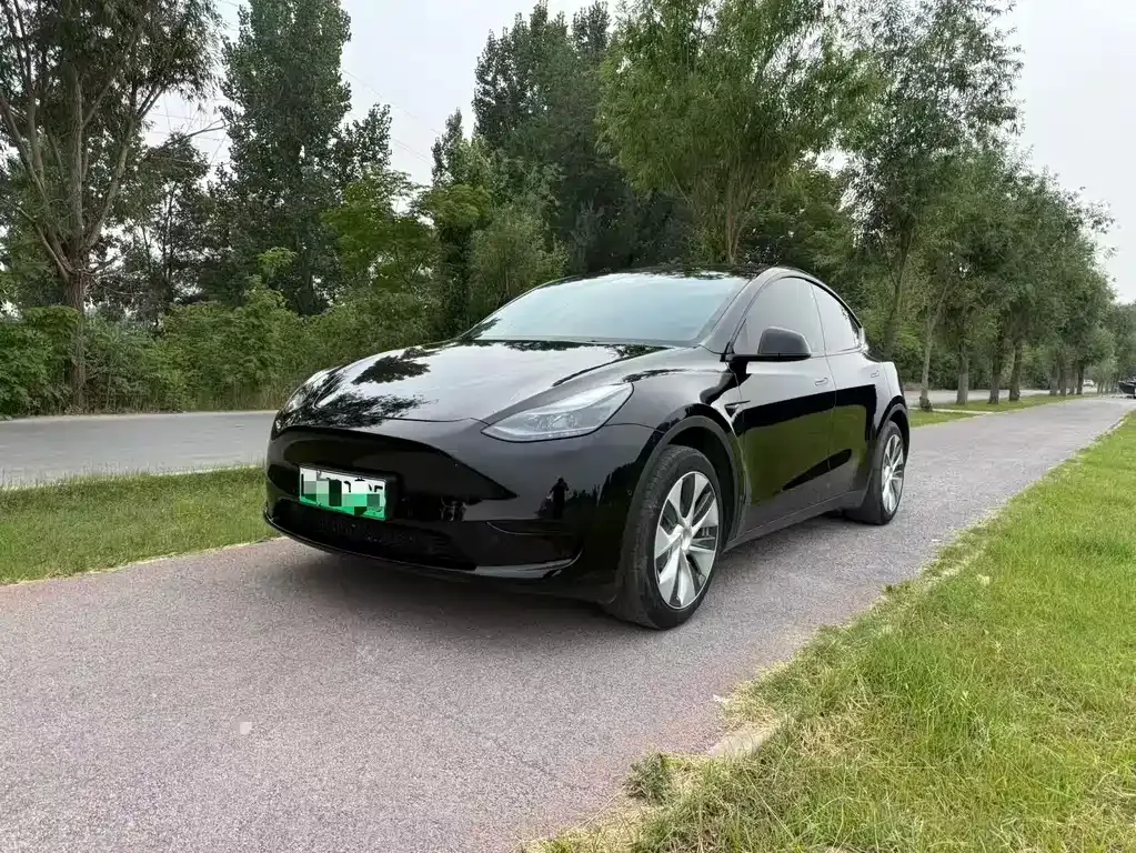 Tesla Model Y — фото 1