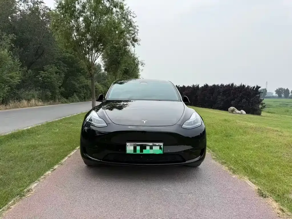 Tesla Model Y — фото 3