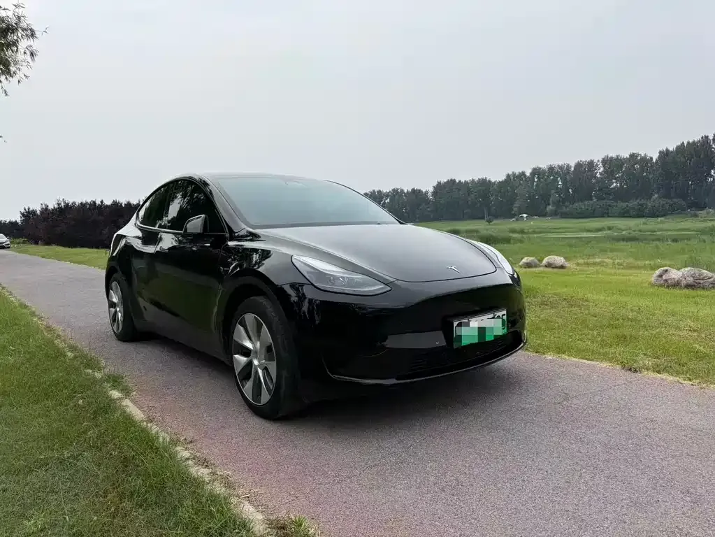 Tesla Model Y — фото 6