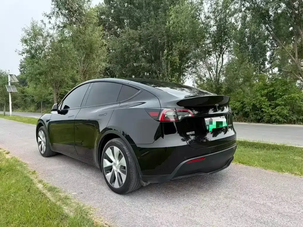 Tesla Model Y — фото 2