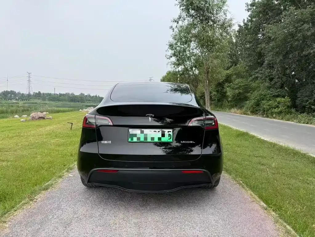 Tesla Model Y — фото 9