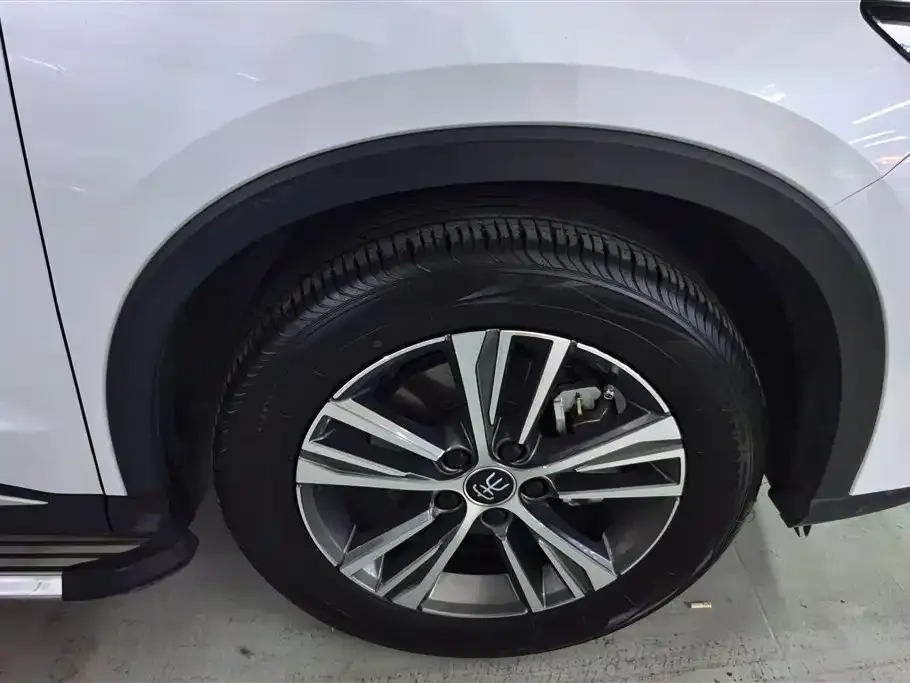 BYD Pro New Energy — фото 2