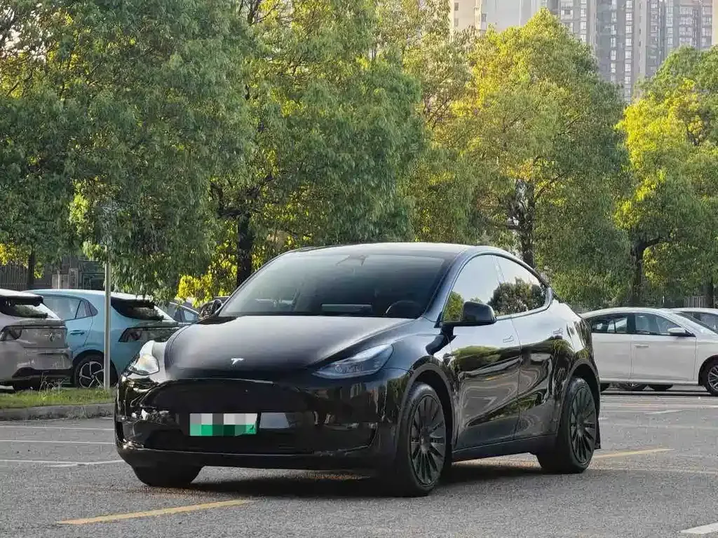Tesla Model Y — фото 1