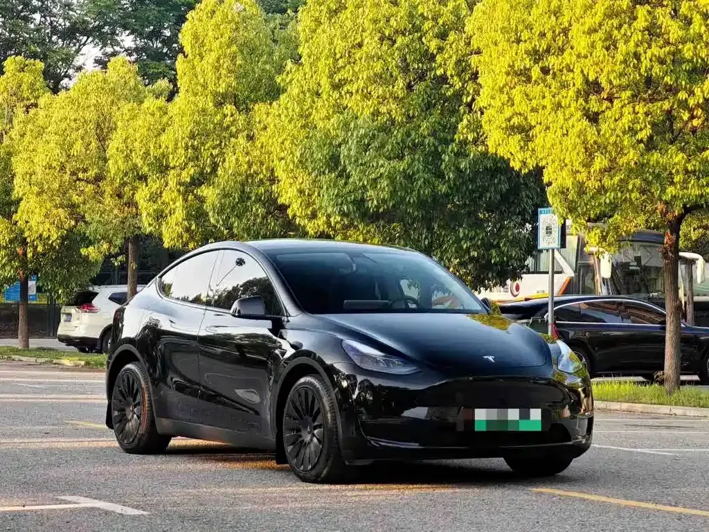 Tesla Model Y — фото 4