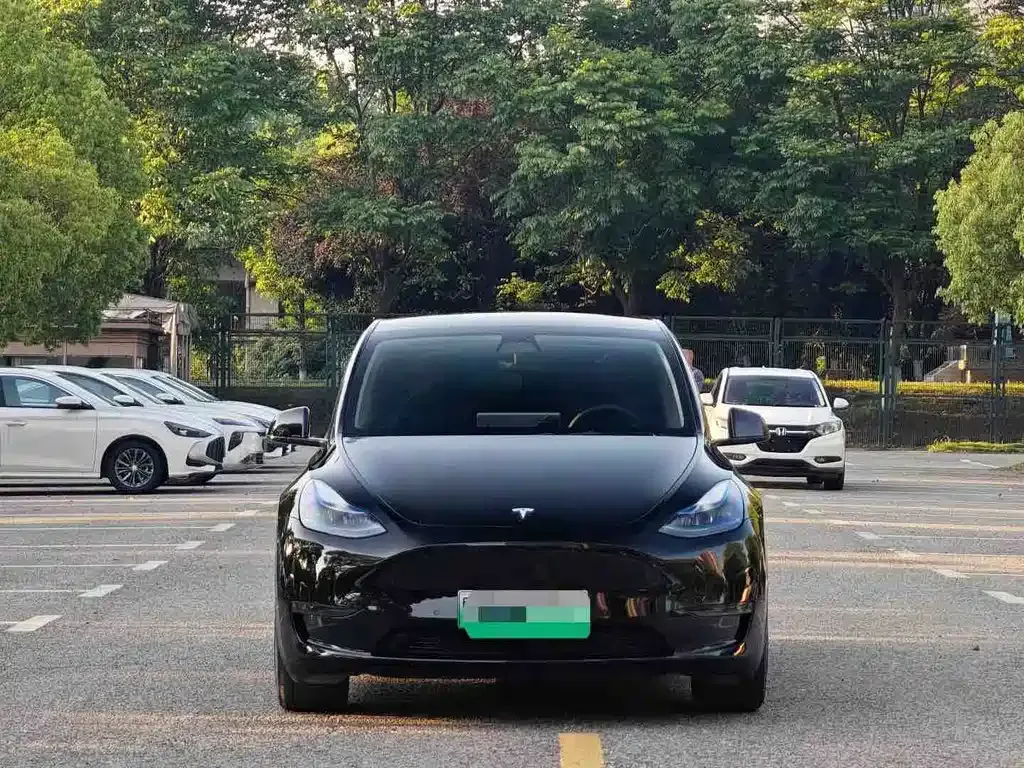 Tesla Model Y — фото 9