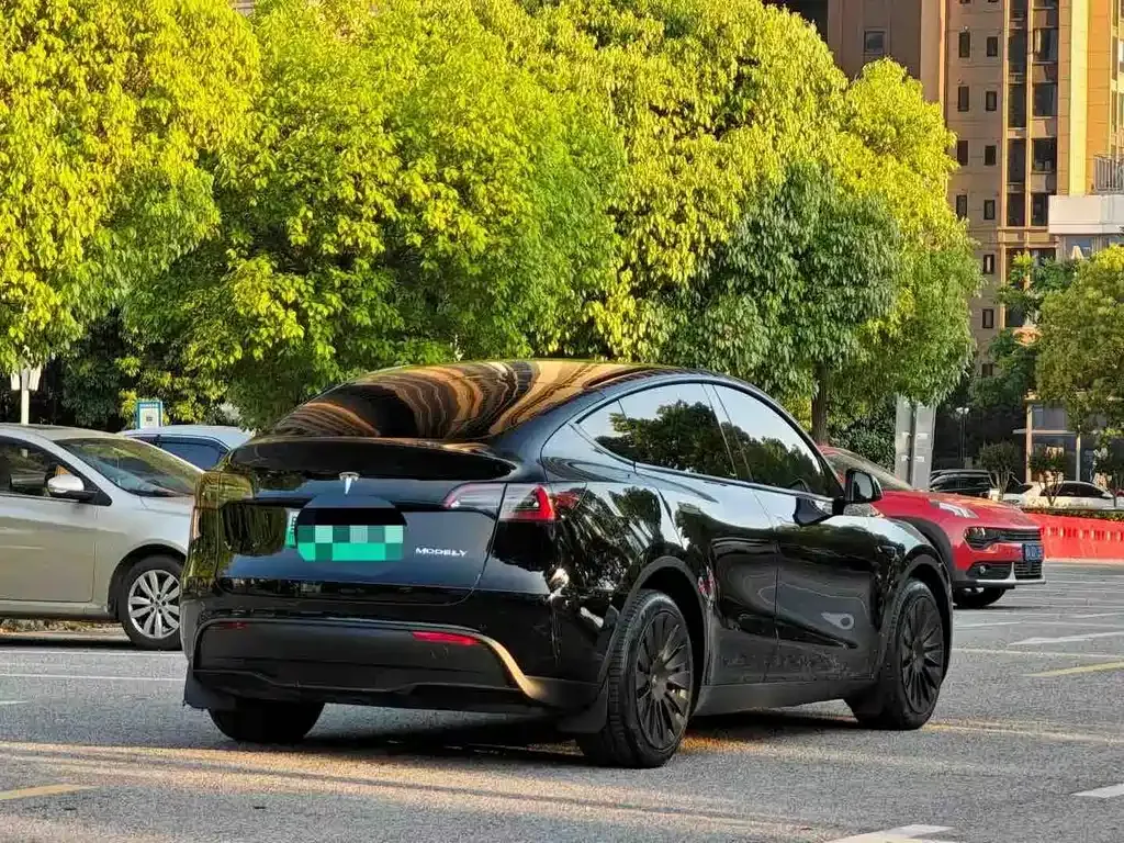 Tesla Model Y — фото 8