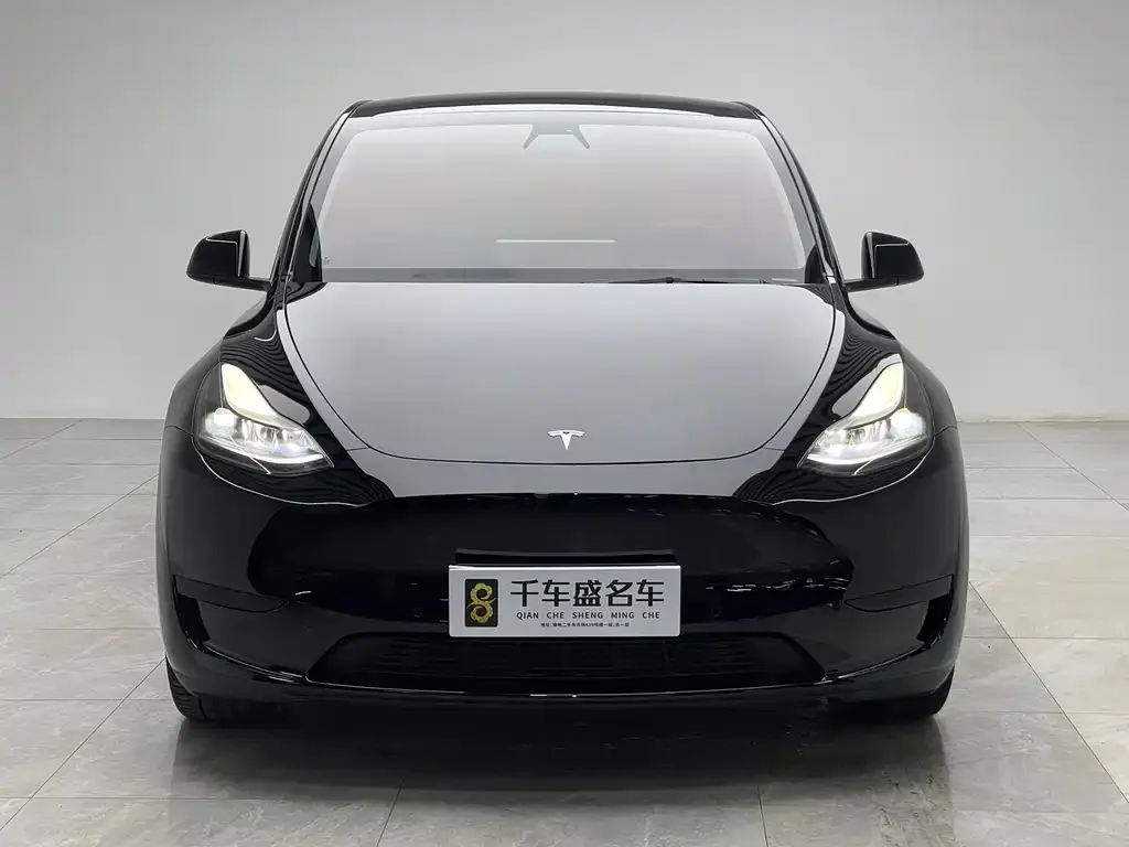 Tesla Model Y — фото 5