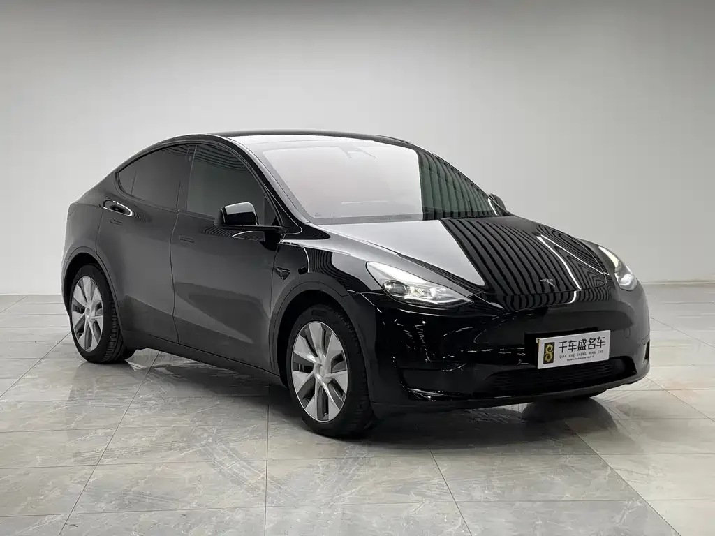 Tesla Model Y — фото 2