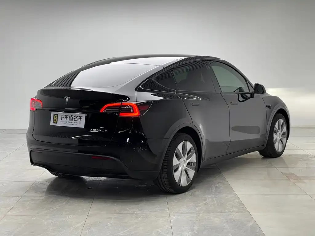 Tesla Model Y — фото 9