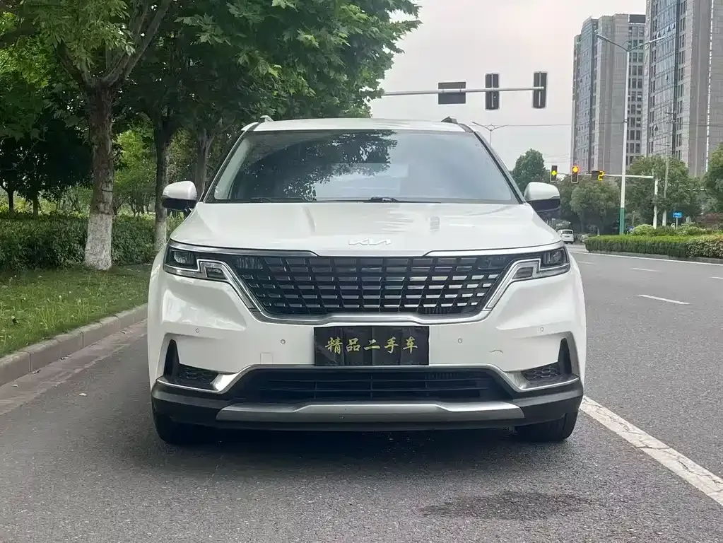 Kia Carnival 2024 из CN, фото 9