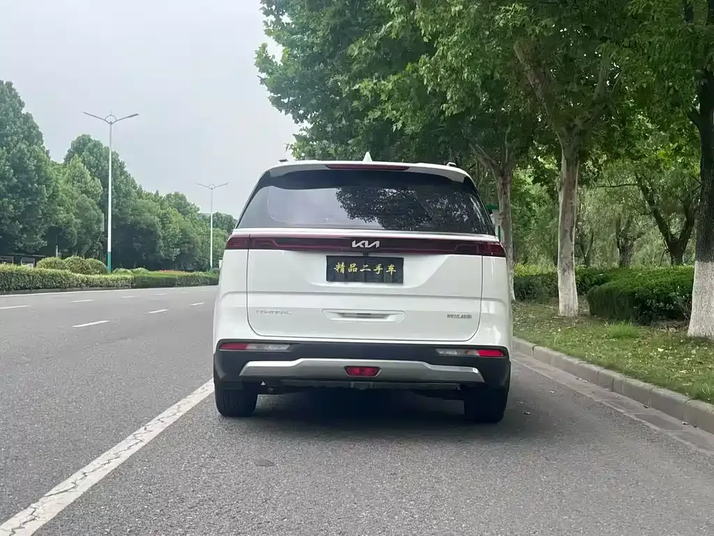 Kia Carnival 2024 из CN, фото 4