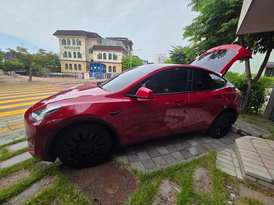 Tesla Model Y — фото 1